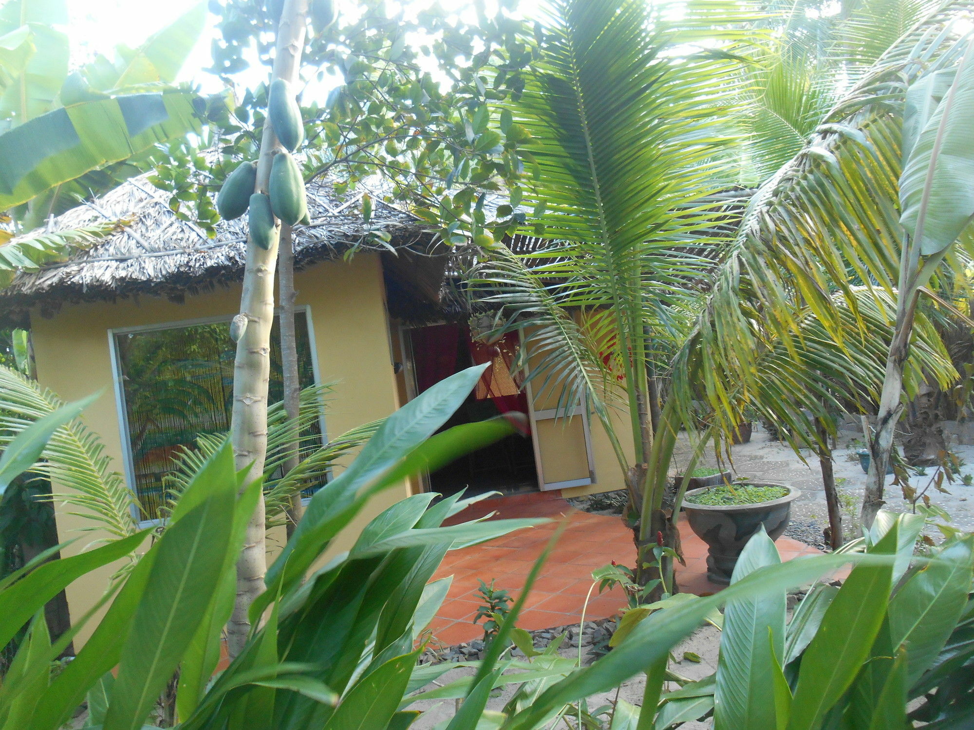Thuy - Gunter Garden Bungalow Муи Не Екстериор снимка