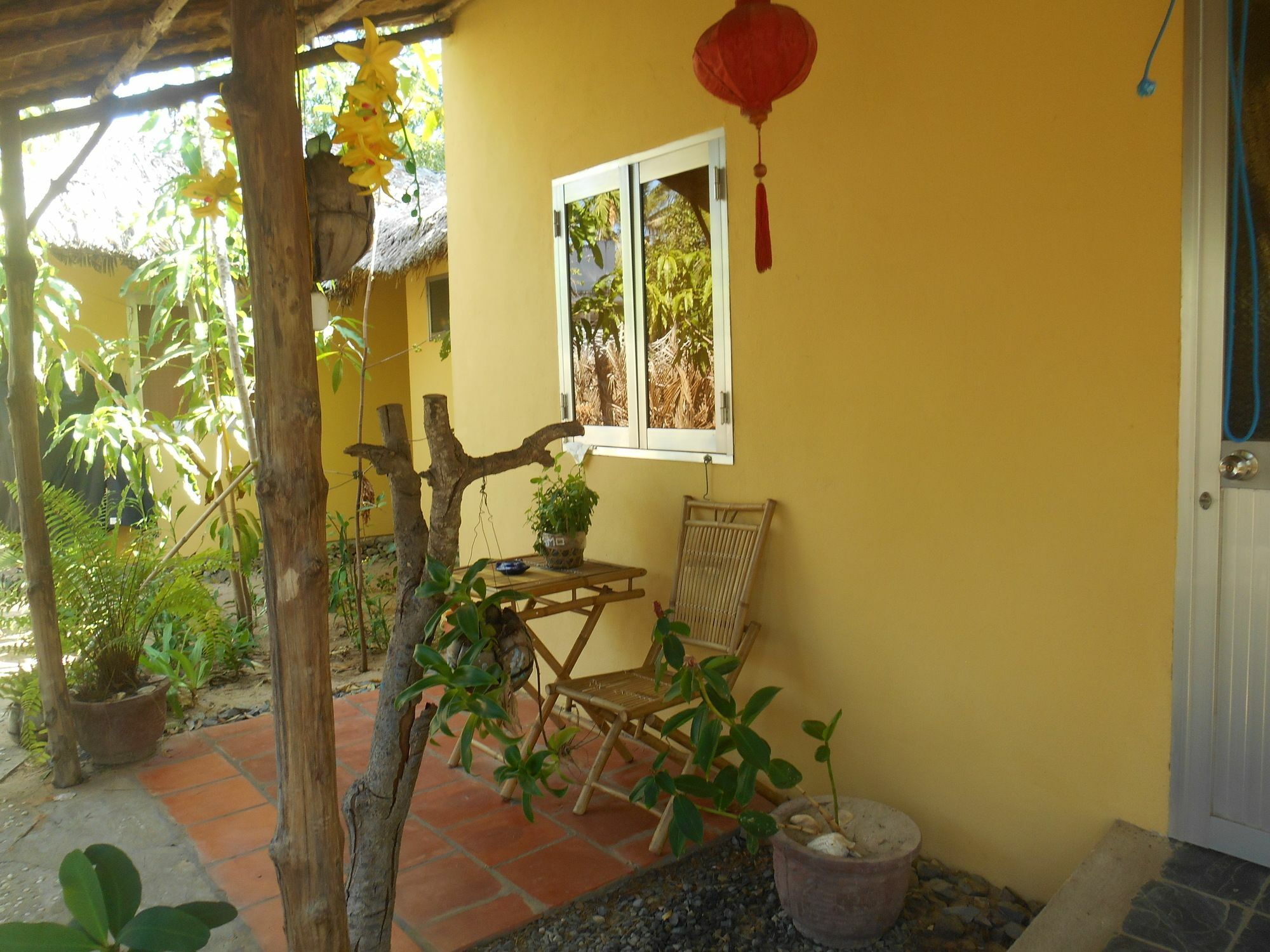 Thuy - Gunter Garden Bungalow Муи Не Екстериор снимка